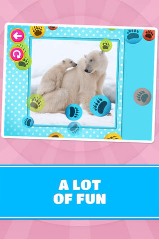Adorable Little Bears Logic Game for Children screenshot 4