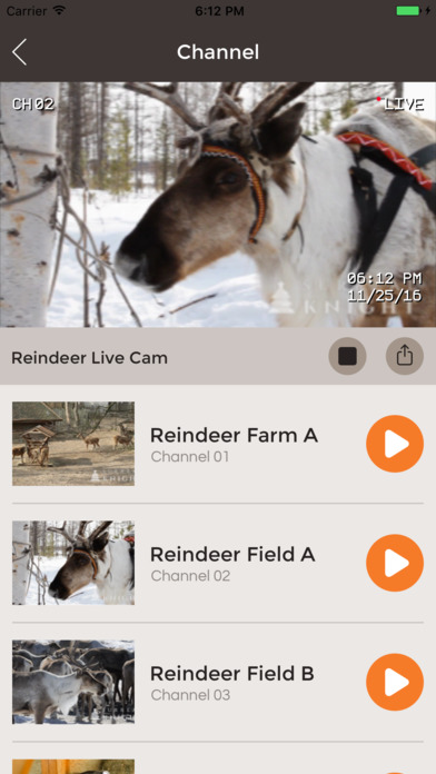 Reindeer Cam Live Christmas - CCTV Rudolf Farm screenshot 4