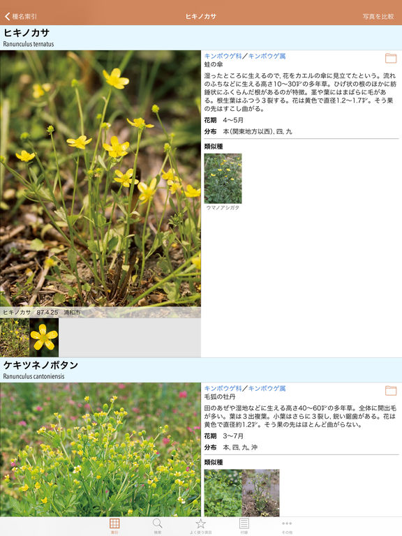 iPad Screenshot 2