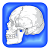 no app image