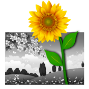 iSplash Colors - Add Cool Color Effects To Any Photo