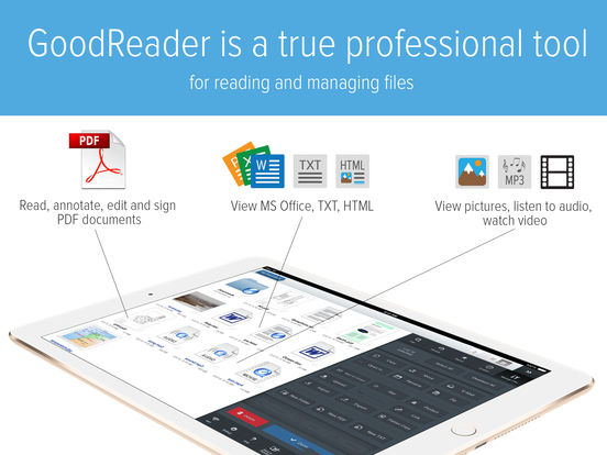 GoodReader - PDF Reader, Annotator and File Manager на iPad