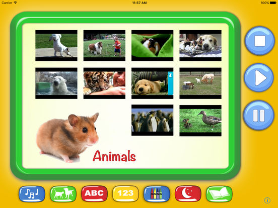 iPad Screenshot 1