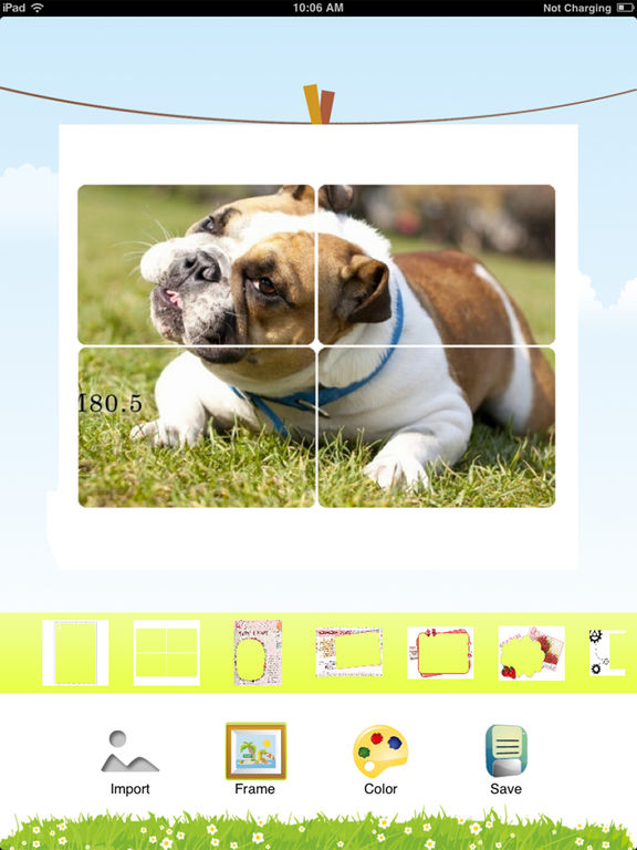 iPad Screenshot 3