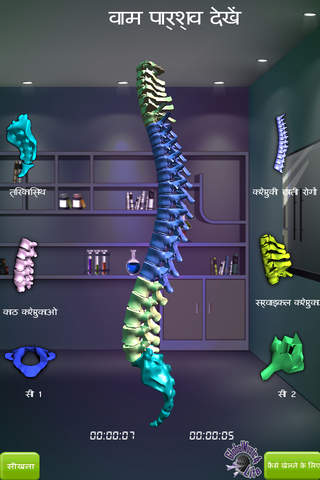 GM4L Spinal Column Game screenshot 4