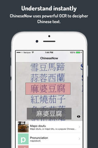 ChineseNow - Instant Chinese translator & dictionary screenshot 2