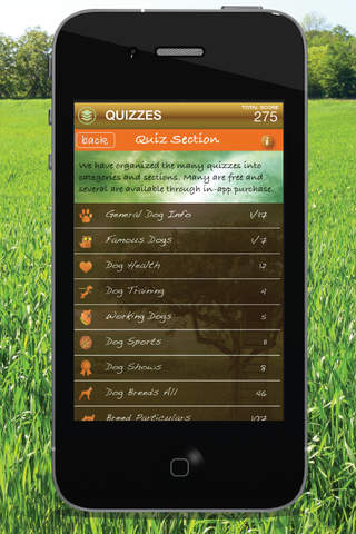 DogFun Quizzes screenshot 4