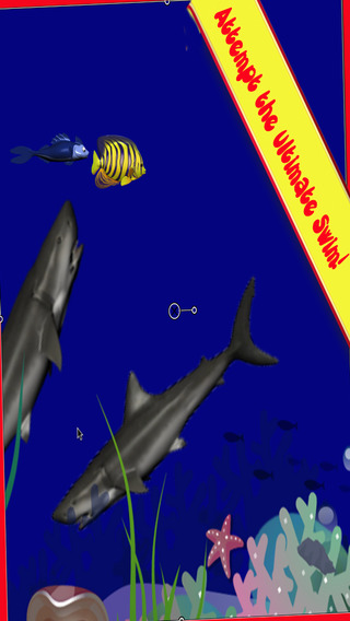 Flappy Fish Fins - Shark Tank