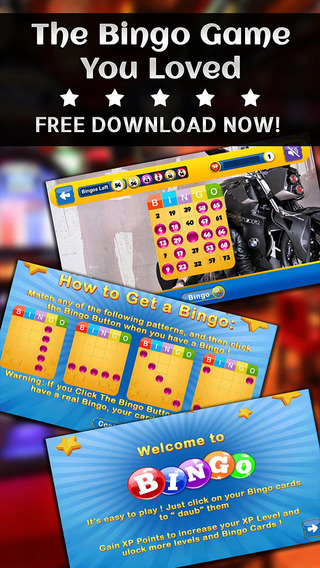 BINGO BIKERS - Play Online Casino and Gambling Card Game for FREE