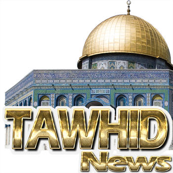 Tawhid News LOGO-APP點子