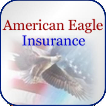 American Eagle Insurance LOGO-APP點子