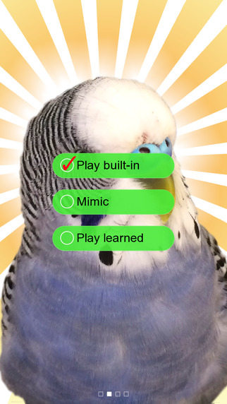 【免費生活App】Parakeet Pal Free-APP點子