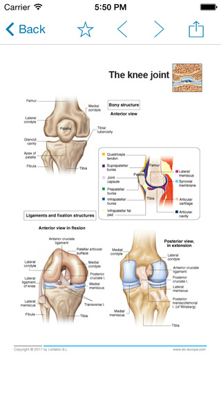 【免費醫療App】Miniatlas Joint Diseases-APP點子