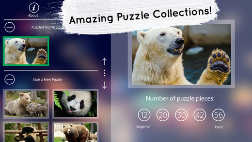 【免費遊戲App】Venn Bears: Overlapping Jigsaw Puzzles-APP點子