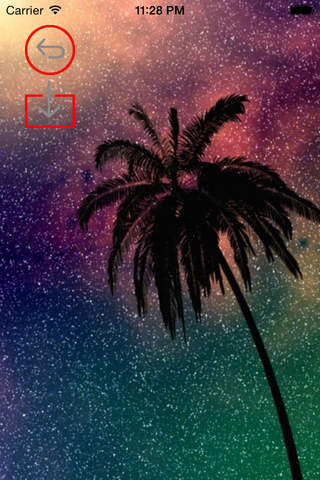 Best HD Palm Trees Wallpapers for iOS 8 Backgrounds: Tropical Seaside Theme Pictures Collection screenshot 3