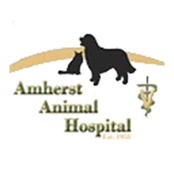 Amherst Animal LOGO-APP點子