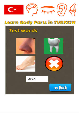 Learn Body Parts in Turkish screenshot 4