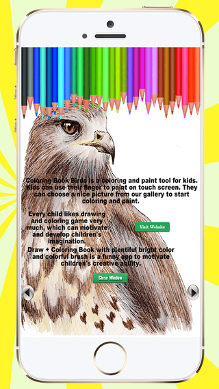 免費下載遊戲APP|Coloring Book Birds app開箱文|APP開箱王