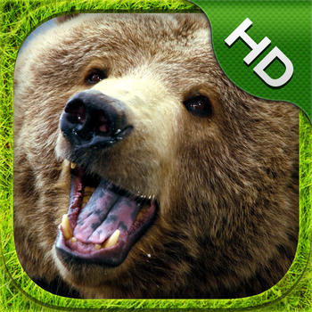 Bear Simulator - HD 遊戲 App LOGO-APP開箱王