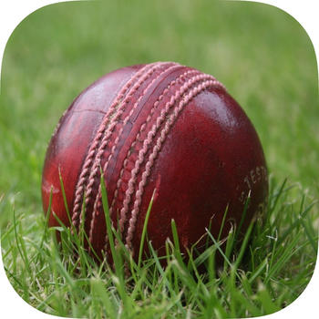 Cricket Fever LOGO-APP點子