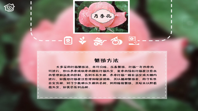 【免費生活App】Handbook For Domestic Horticulture--Ornamental Flowers and Plants-APP點子