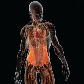 Human Full Anatomy 健康 App LOGO-APP開箱王