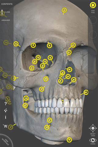 Skeletal System - 3D Atlas of Anatomy - Bones of the human skeleton screenshot 4
