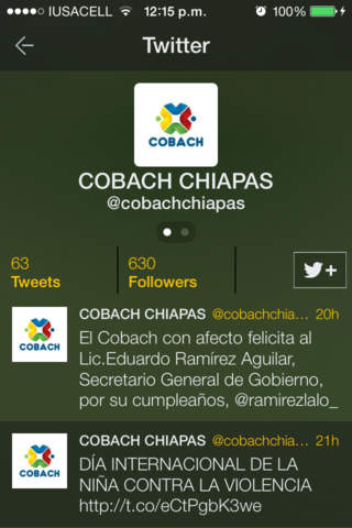 Cobach Chiapas screenshot 3
