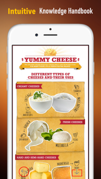 Cheese 101: Quick Study Reference with Video Lessons and Tasting Guide