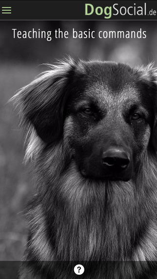 DogSocial Dog Training FREE - Teaching the Basic Commands