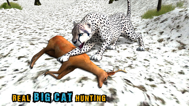免費下載遊戲APP|Wild Snow Leopard Simulator 3D – Big Cat Hunting & Chasing Wildlife Animals on Mountains app開箱文|APP開箱王