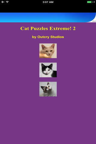 Cat Puzzles Extreme! 2 screenshot 2