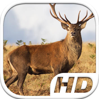 Stag Deer Simulator HD Animal Life 遊戲 App LOGO-APP開箱王