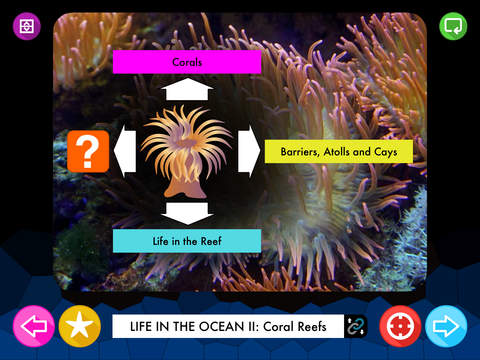 Nature for Kids: Life in the Ocean screenshot 3