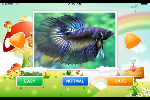 Ocean Fish JigSaw Puzzle Game for Kids screenshot 2