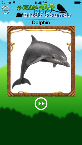 【免費娛樂App】Animal And Bird Sounds - Free-APP點子