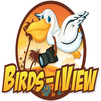 Birds-iView LOGO-APP點子