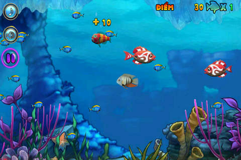 Cá Lớn Nuốt Cá Bé screenshot 2