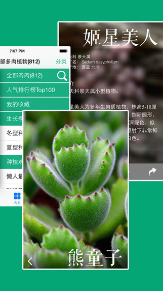 【免費社交App】多肉植物-APP點子