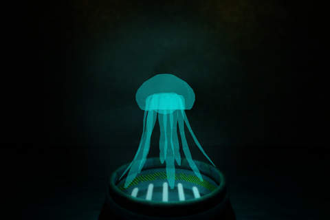 Hologram Projector: Sea Life screenshot 3