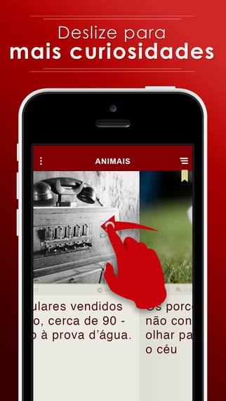 【免費娛樂App】Você Sabia? - Animais-APP點子