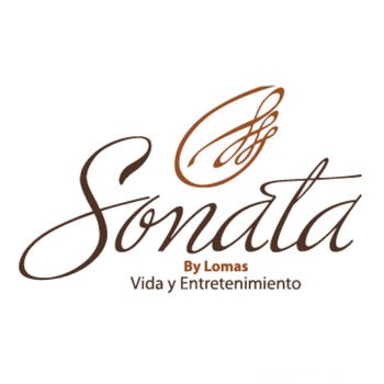 Sonata LOGO-APP點子