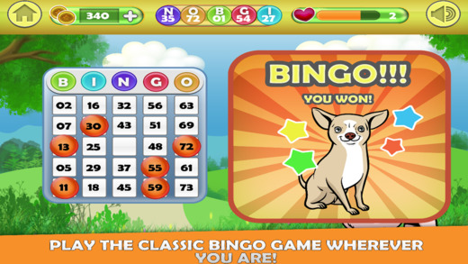 免費下載遊戲APP|Bingo Dog Blitz - Big Fortune Doggy Edition app開箱文|APP開箱王