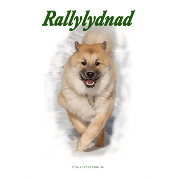 Rallylydnad LOGO-APP點子