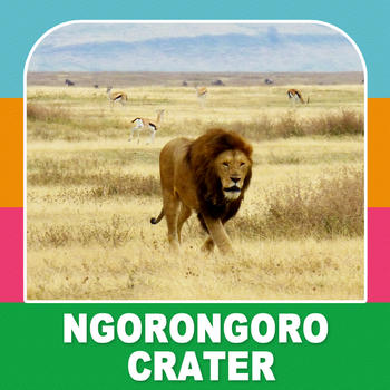 Ngorongoro Crater Travel Guide 旅遊 App LOGO-APP開箱王
