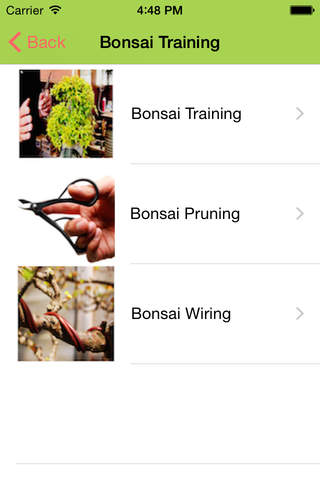 Bonsai Starter screenshot 2