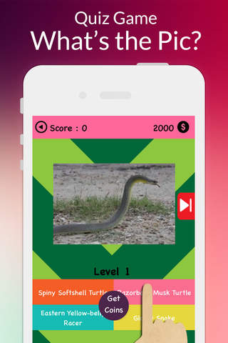 Reptiles Amphibians Trivia Quiz screenshot 4