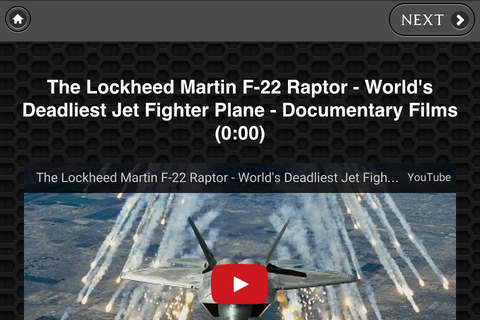 F-22 Raptor FREE screenshot 2