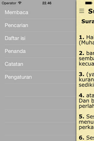 Alquran Indonesia (Quran Audio in Indonesian Bahasa) screenshot 2