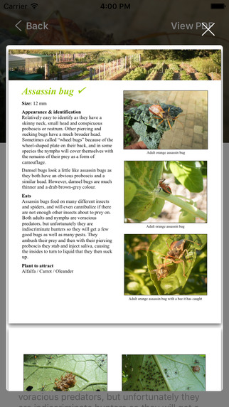 免費下載生活APP|Insects & Organic Gardening app開箱文|APP開箱王